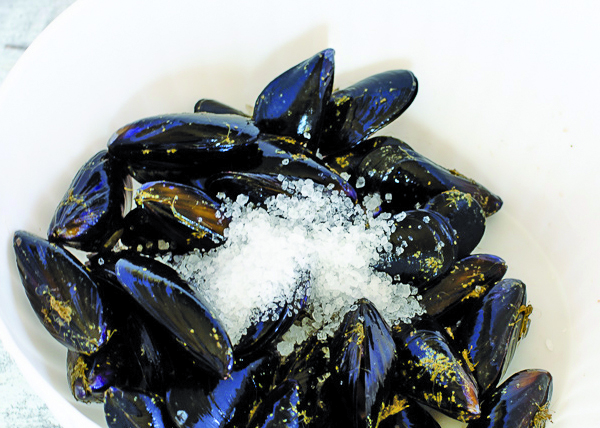 COZZE