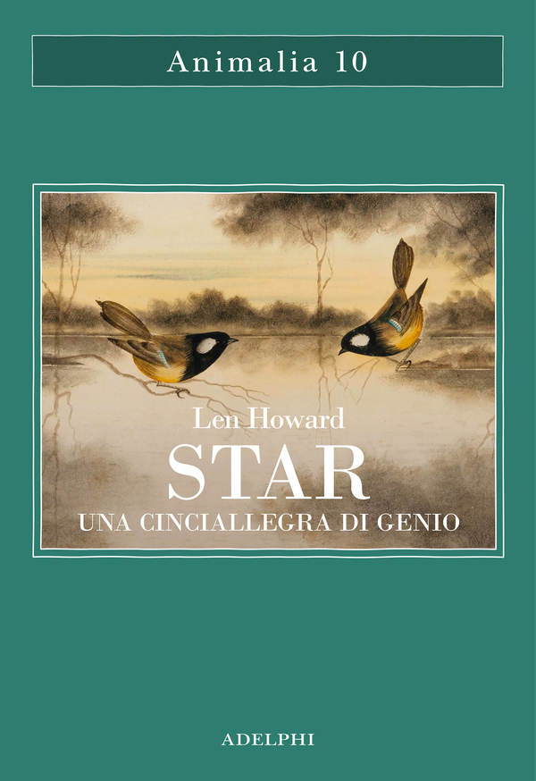 STAR