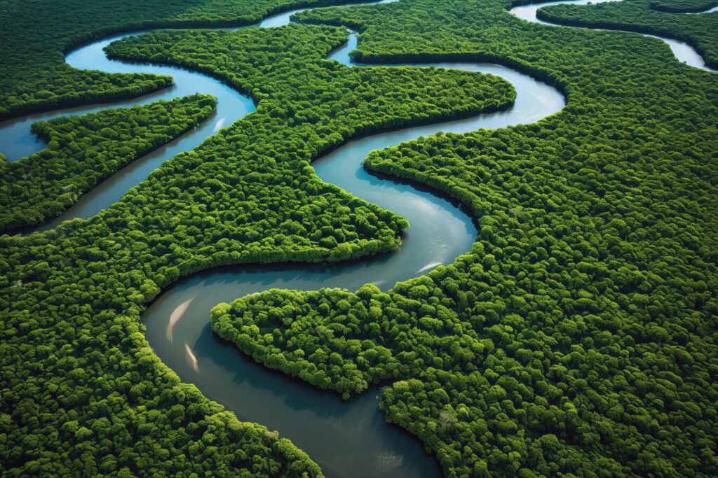 COSÌ LA FORESTA MI HA CAMBIATO LA VITA