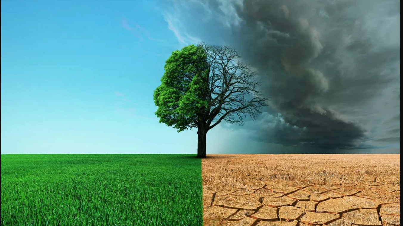 RAPPORTO AMBIENTE ITALIA