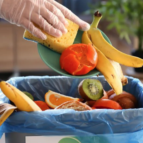 TROPPO CIBO NELLA SPAZZATURA