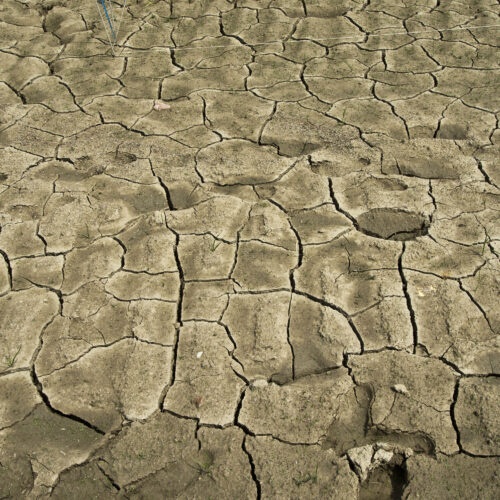 Un debito ecologico…