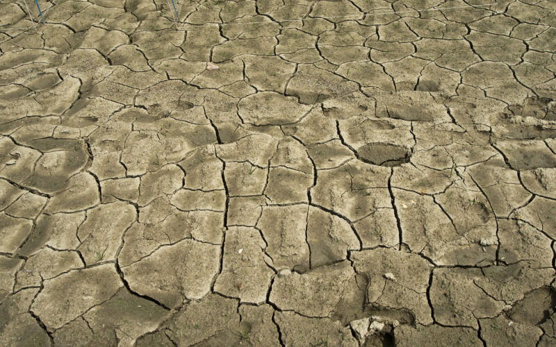 Un debito ecologico…