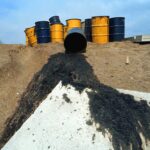 La fede non esclude l’ambiente
